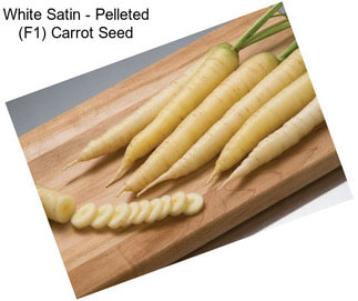 White Satin - Pelleted (F1) Carrot Seed