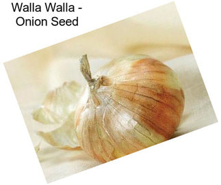 Walla Walla - Onion Seed