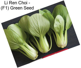Li Ren Choi - (F1) Green Seed