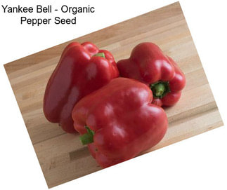 Yankee Bell - Organic Pepper Seed