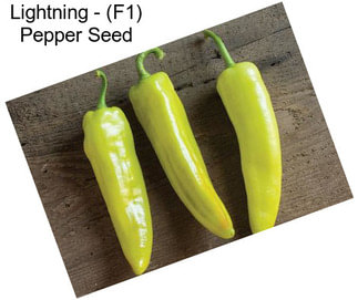 Lightning - (F1) Pepper Seed