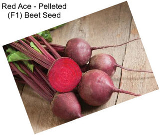 Red Ace - Pelleted (F1) Beet Seed