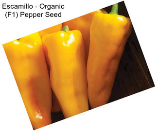 Escamillo - Organic (F1) Pepper Seed