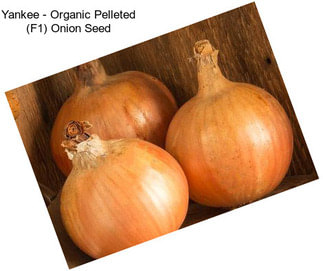 Yankee - Organic Pelleted (F1) Onion Seed