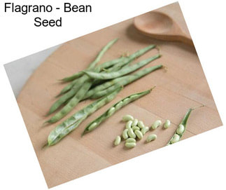 Flagrano - Bean Seed