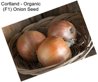 Cortland - Organic (F1) Onion Seed