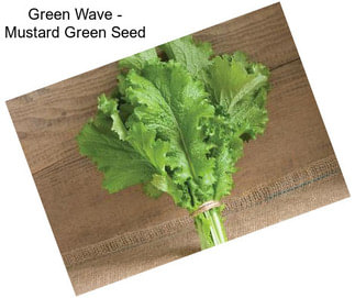 Green Wave - Mustard Green Seed