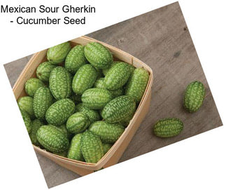 Mexican Sour Gherkin - Cucumber Seed