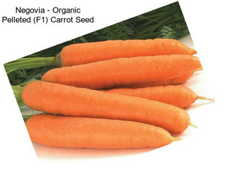 Negovia - Organic Pelleted (F1) Carrot Seed