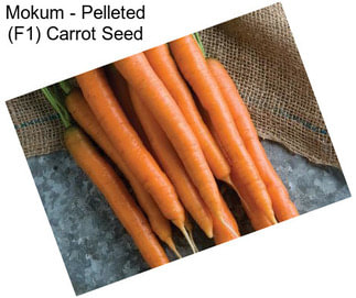 Mokum - Pelleted (F1) Carrot Seed