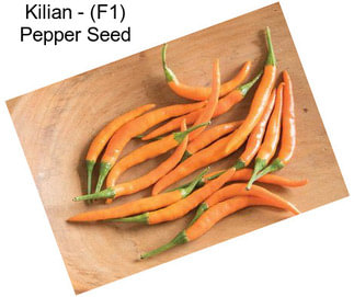 Kilian - (F1) Pepper Seed