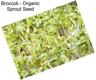 Broccoli - Organic Sprout Seed