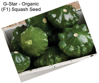 G-Star - Organic (F1) Squash Seed