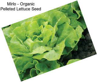 Mirlo - Organic Pelleted Lettuce Seed