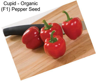 Cupid - Organic (F1) Pepper Seed