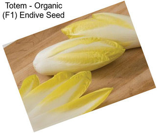 Totem - Organic (F1) Endive Seed