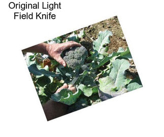 Original Light Field Knife