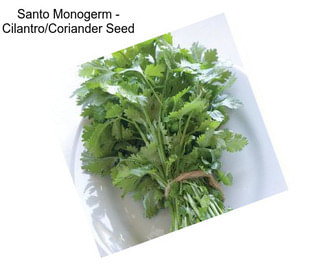 Santo Monogerm - Cilantro/Coriander Seed