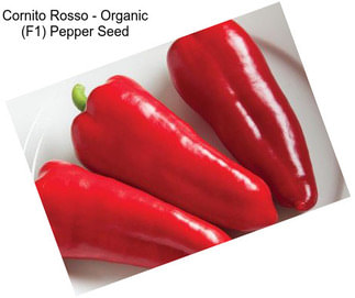 Cornito Rosso - Organic (F1) Pepper Seed