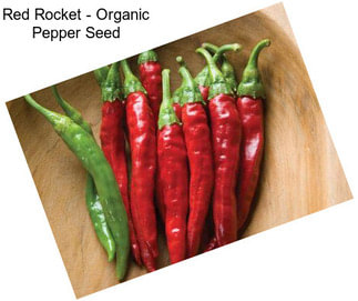 Red Rocket - Organic Pepper Seed