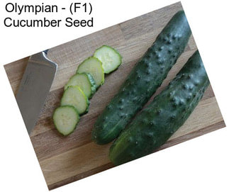Olympian - (F1) Cucumber Seed