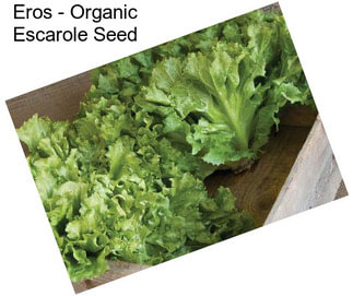 Eros - Organic Escarole Seed