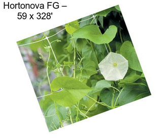 Hortonova FG – 59\