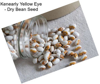 Kenearly Yellow Eye - Dry Bean Seed