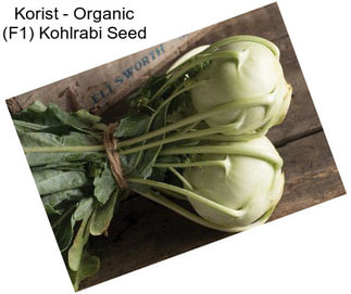 Korist - Organic (F1) Kohlrabi Seed