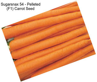 Sugarsnax 54 - Pelleted (F1) Carrot Seed