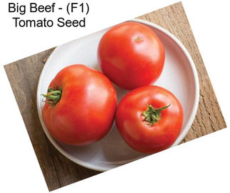 Big Beef - (F1) Tomato Seed