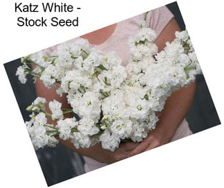 Katz White - Stock Seed