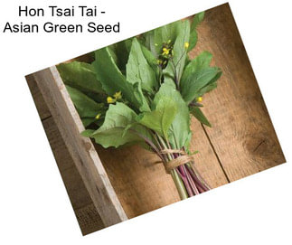 Hon Tsai Tai - Asian Green Seed