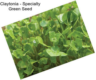 Claytonia - Specialty Green Seed