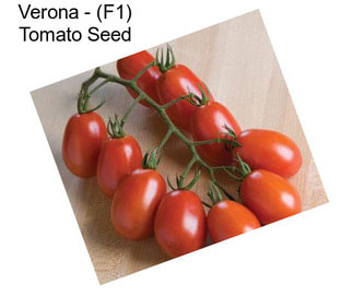 Verona - (F1) Tomato Seed