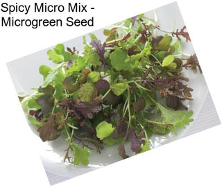 Spicy Micro Mix - Microgreen Seed