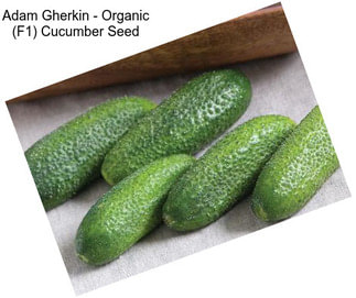 Adam Gherkin - Organic (F1) Cucumber Seed