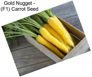 Gold Nugget - (F1) Carrot Seed