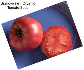 Brandywine - Organic Tomato Seed