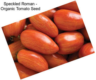 Speckled Roman - Organic Tomato Seed