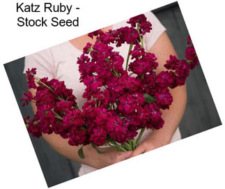 Katz Ruby - Stock Seed