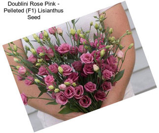Doublini Rose Pink - Pelleted (F1) Lisianthus Seed