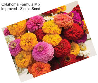 Oklahoma Formula Mix Improved - Zinnia Seed