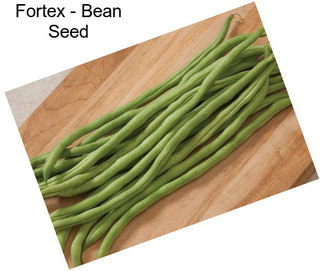 Fortex - Bean Seed