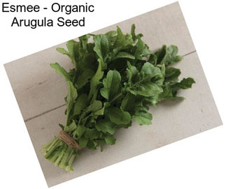 Esmee - Organic Arugula Seed