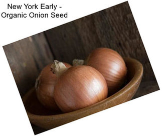 New York Early - Organic Onion Seed