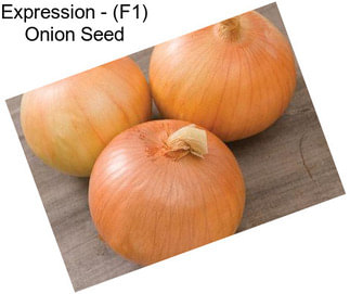 Expression - (F1) Onion Seed