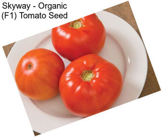 Skyway - Organic (F1) Tomato Seed