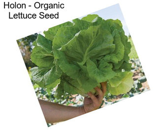 Holon - Organic Lettuce Seed