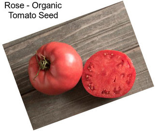 Rose - Organic Tomato Seed